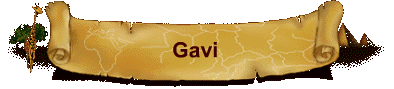 Gavi